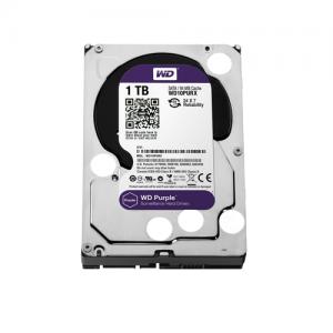 Western Digital Purple 1TB Surveillance Hard Drive price in chennai, tamilnadu, vellore, chengalpattu, pondichery